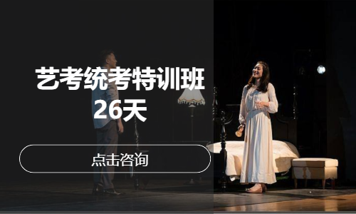 艺考统考特训班26天
