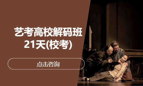 艺考高校解码班21天(校考)